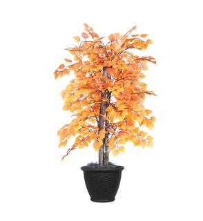 Product Image: TBU2240 Decor/Faux Florals/Plants & Trees