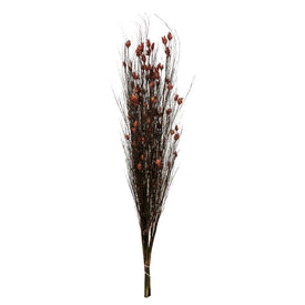 36"-40" Dried and Preserved Bell Grass with Red Pod Bundle