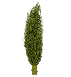 Product Image: H2OSP100 Decor/Faux Florals/Floral Arrangements