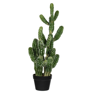 Product Image: FO190131 Decor/Faux Florals/Plants & Trees