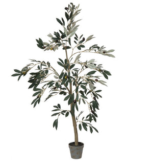 Product Image: TB180548 Decor/Faux Florals/Plants & Trees