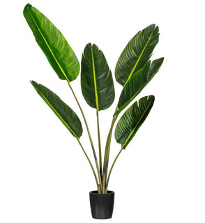 Product Image: TB190840 Decor/Faux Florals/Plants & Trees