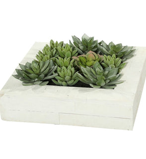 Product Image: FE173101 Decor/Faux Florals/Plants & Trees