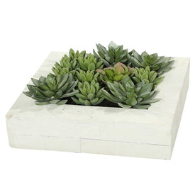 12" x 12" Artificial Succulent Arrangement