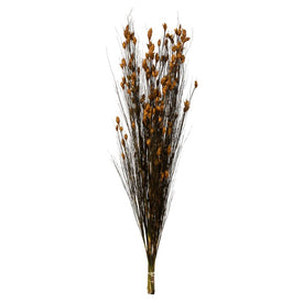 36"-40" Dried and Preserved Bell Grass with Aspen Gold Pod