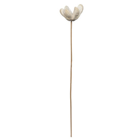 20" Bleached Bullet Flowers with Stems 50-Pack