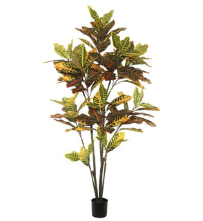 Product Image: TB170660 Decor/Faux Florals/Plants & Trees