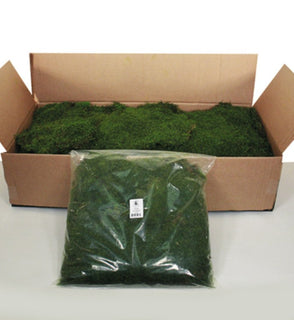Product Image: H1MOU155 Decor/Faux Florals/Plants & Trees