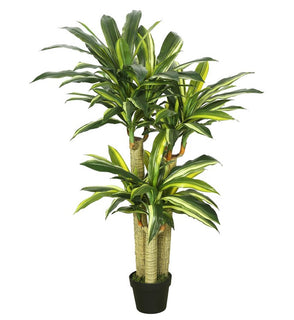 Product Image: TA170601 Decor/Faux Florals/Plants & Trees