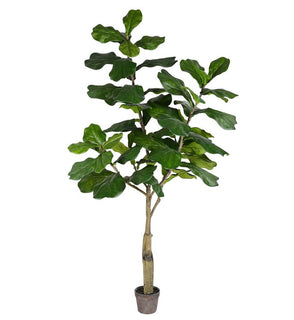 Product Image: TB180272 Decor/Faux Florals/Plants & Trees