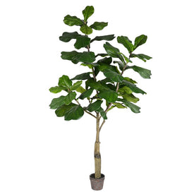 6' Artificial Fiddle Tree with 65 Leaves in Pot