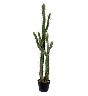 Product Image: FE191146 Decor/Faux Florals/Plants & Trees
