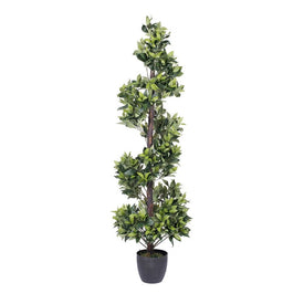 5' Artificial Spiral Bay Tree in Plastic Pot