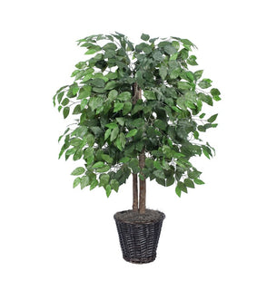 Product Image: TBU0140 Decor/Faux Florals/Plants & Trees