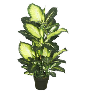 Product Image: TA170201 Decor/Faux Florals/Plants & Trees