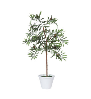 Product Image: FK171203 Decor/Faux Florals/Plants & Trees