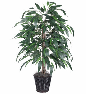 Product Image: TBU2840 Decor/Faux Florals/Plants & Trees