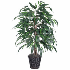 4' Artificial Mango Bush in Rattan Basket