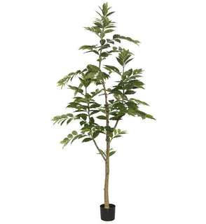 Product Image: TB170884 Decor/Faux Florals/Plants & Trees