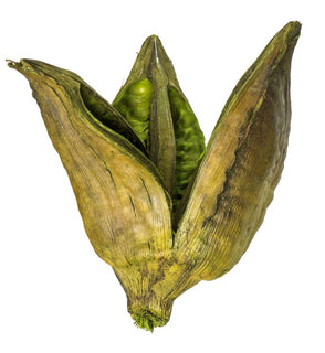 Product Image: H2SORB100-1 Decor/Faux Florals/Floral Arrangements