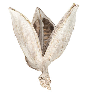 Product Image: H2SORB999-1 Decor/Faux Florals/Floral Arrangements