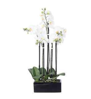Product Image: FC170602 Decor/Faux Florals/Floral Arrangements