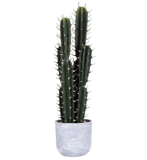 Product Image: FH181101 Decor/Faux Florals/Plants & Trees
