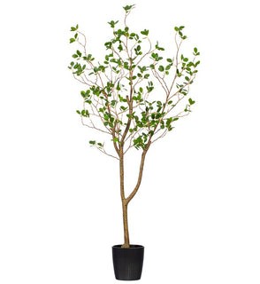 Product Image: FU191648 Decor/Faux Florals/Plants & Trees