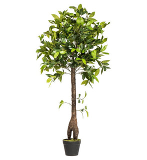 Product Image: T161250 Decor/Faux Florals/Plants & Trees