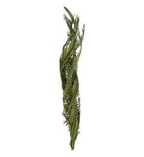 Product Image: H2CTW150 Decor/Faux Florals/Plants & Trees