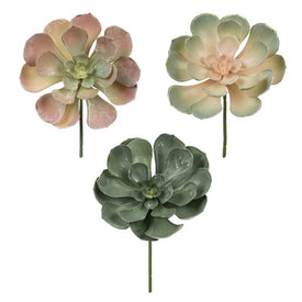 8.5" Artificial Peperomia Succulents Assorted 6-Pack