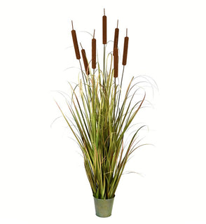 Product Image: TD190660 Decor/Faux Florals/Plants & Trees