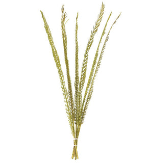 Product Image: H2CPS100 Decor/Faux Florals/Floral Arrangements