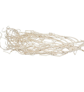 Product Image: H7BEG999 Decor/Faux Florals/Plants & Trees