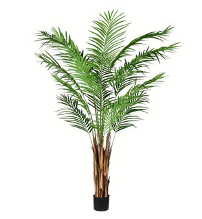 Product Image: TB190760 Decor/Faux Florals/Plants & Trees