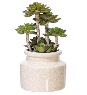 Product Image: FE181701 Decor/Faux Florals/Floral Arrangements