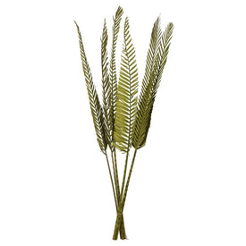 38"-48" Dried and Preserved Basil Coco Palm Stems Designer Cut 6-Pack