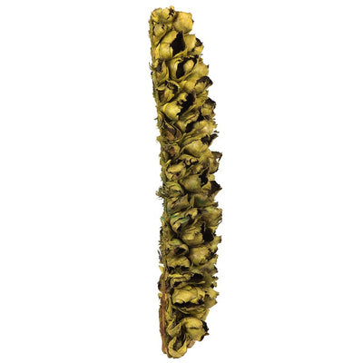 26"-28" Dried and Preserved Basil Giant Seed Pod Half