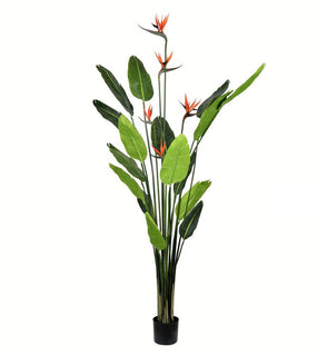 Product Image: TB191260 Decor/Faux Florals/Plants & Trees