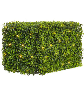 Product Image: TP171824LED Decor/Faux Florals/Plants & Trees