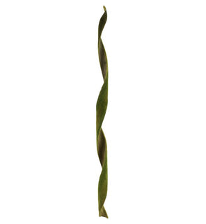 Product Image: H2CCV100 Decor/Faux Florals/Floral Arrangements