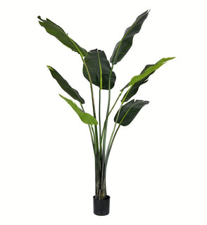Product Image: TB191850 Decor/Faux Florals/Plants & Trees