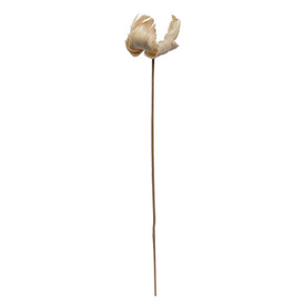 2.75"-3.6" Dried and Preserved Bleached Palm Caps with Stems 25-Pack