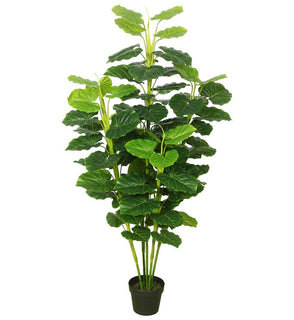 Product Image: TA170401 Decor/Faux Florals/Plants & Trees