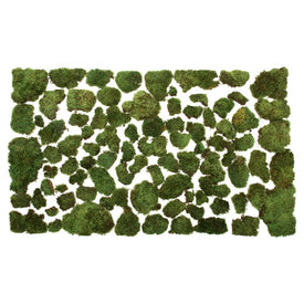 Vickerman Premium Green Mood Moss, Preserved