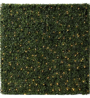 Product Image: TP194249LED Decor/Faux Florals/Plants & Trees
