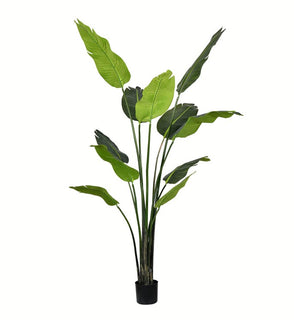 Product Image: TB190860 Decor/Faux Florals/Plants & Trees