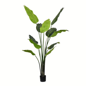 6' Artificial Traveller's Palm Tree with 11 Leaves in Pot