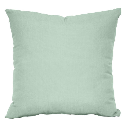 20" x 20" Throw Pillow