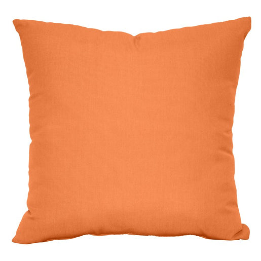 18" x 18" Throw Pillow